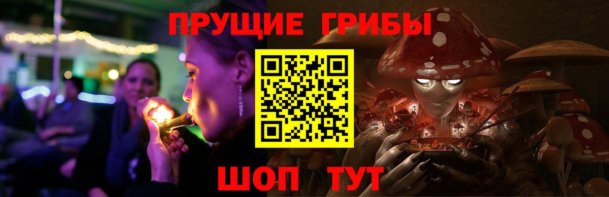 Псилоцибиновые грибы прущие грибы  Вход с VPN  Когалым  Галлюциногенные грибы Psilocybe 